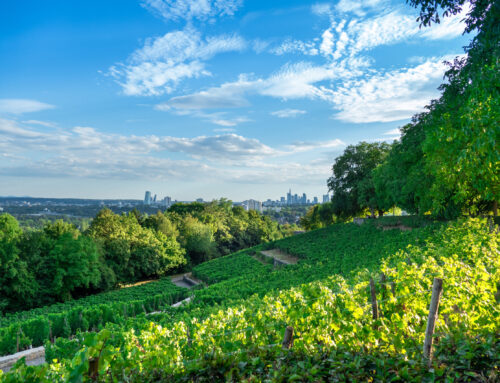 Reisemobilstellplatz im Rhein-Main-Gebiet zu verpachten | Hessen | 4.000 € mtl.