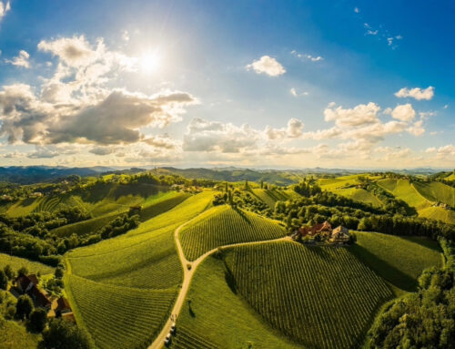 Genehmigte Fläche für einen Campingplatz in der Steiermark zu verkaufen | Steiermark | 1.248.000 €