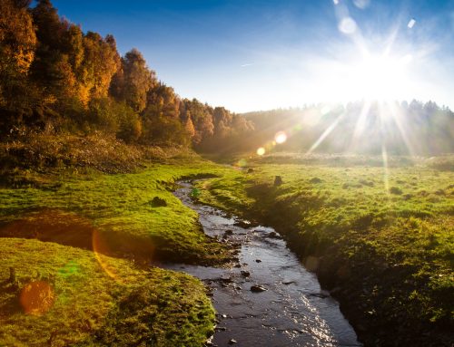 Campingpark & genehmigte Entwicklungsfläche – separat oder gemeinsam zu verkaufen | Rheinland-Pfalz | Gesamtpaket: 2.500.000 €