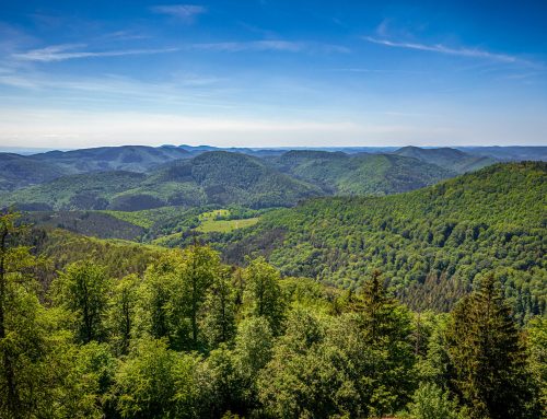 Campingplatz in Frankreich, unweit der deutschen Grenze, mit eigenem See zu verkaufen | Frankreich | 2.900.000 €